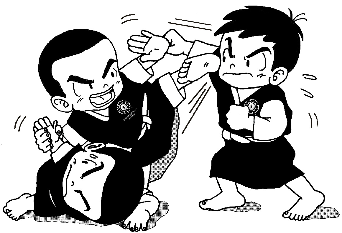 Mt. Diablo Shorinji Kempo